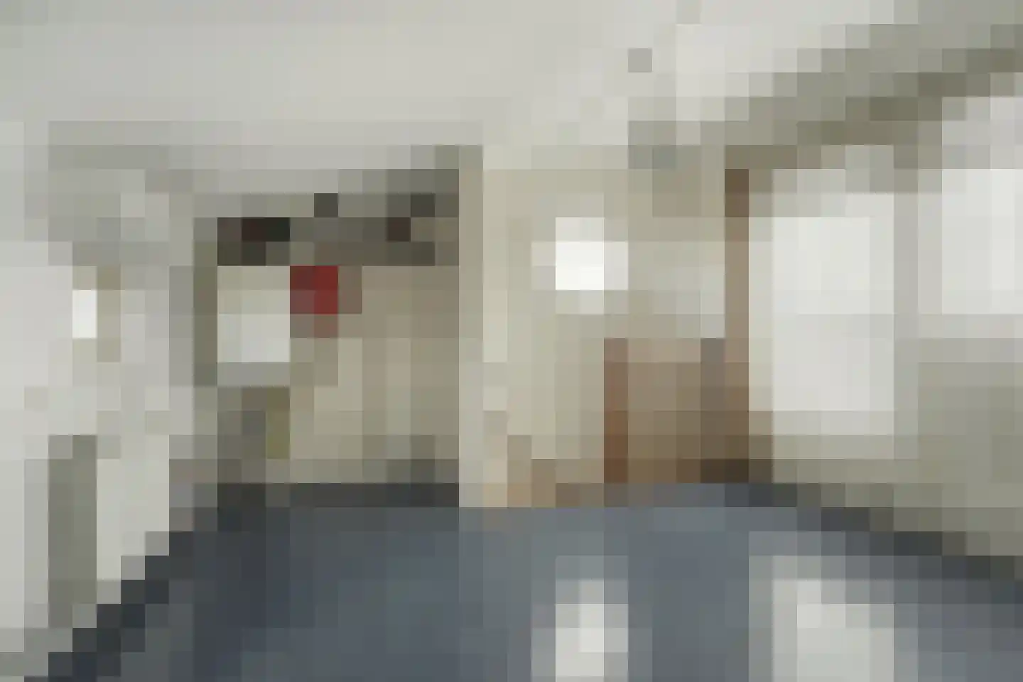 Tubantengaarde 2 Alphen aan den Rijn thumbnail 26