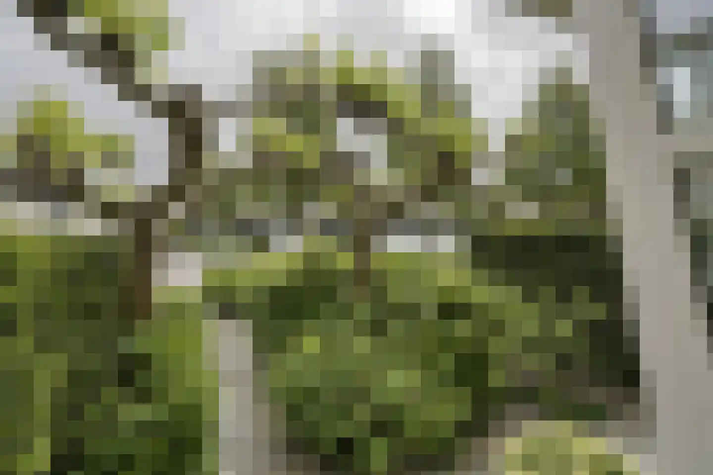 Tubantengaarde 2 Alphen aan den Rijn thumbnail 34