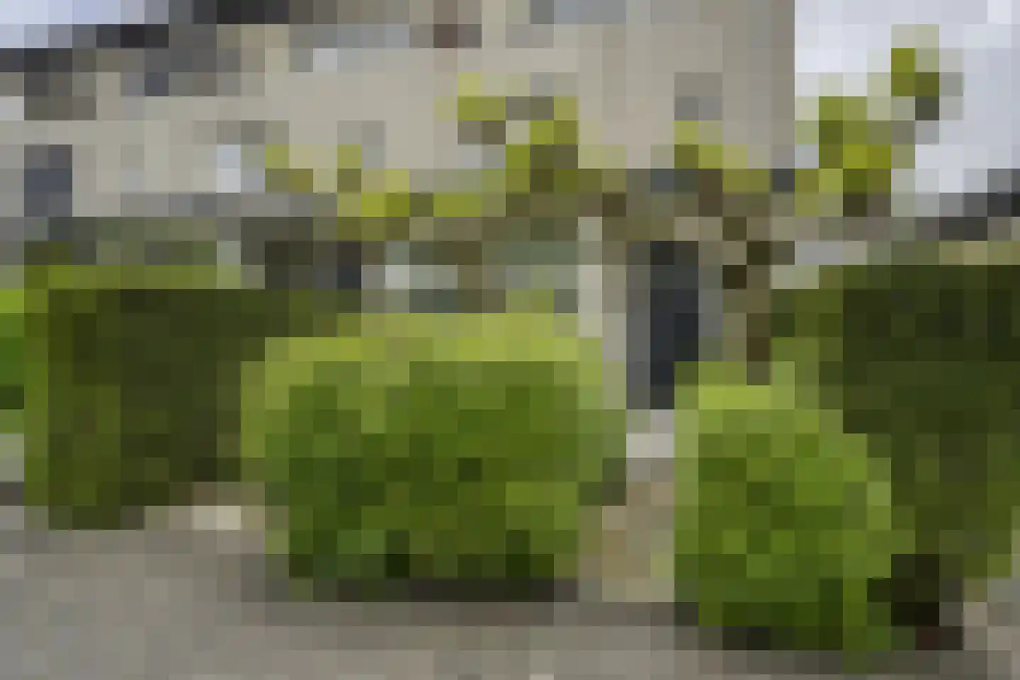 Tubantengaarde 2 Alphen aan den Rijn thumbnail 5