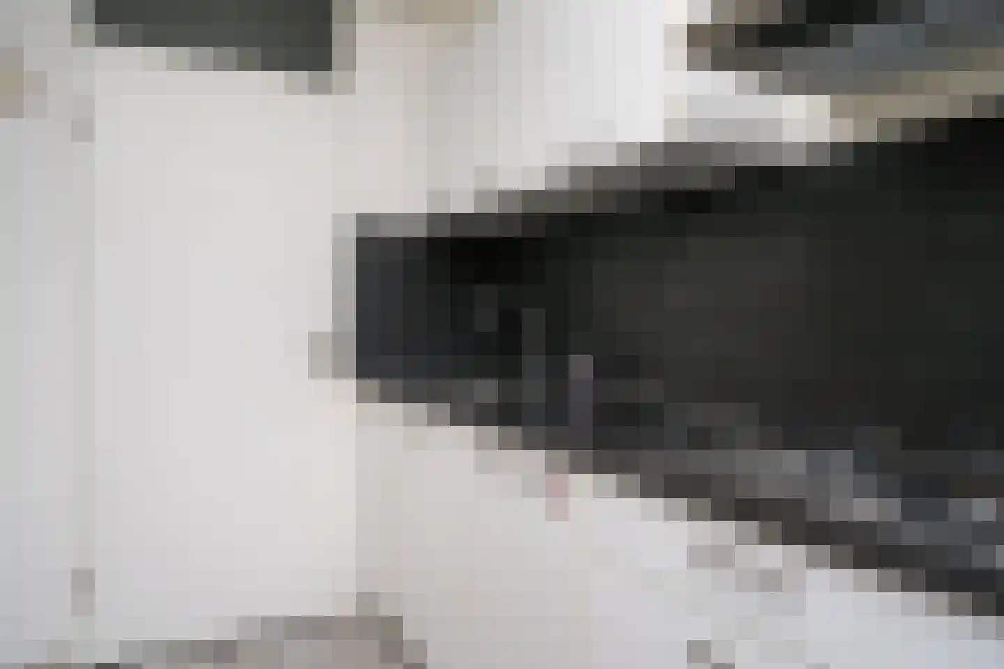 Tubantenoord 37 Rotterdam thumbnail 12