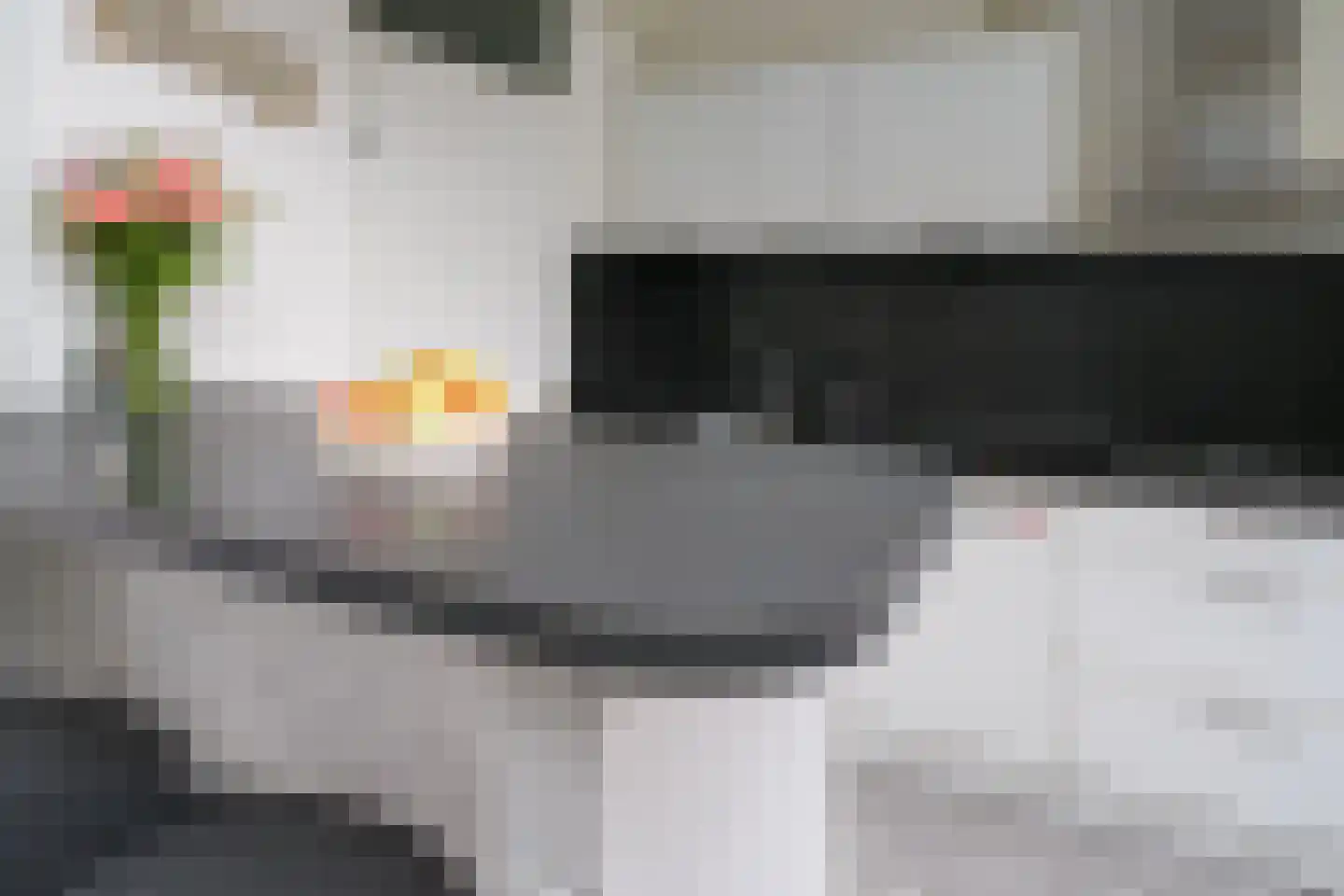 Tubantenoord 37 Rotterdam thumbnail 14