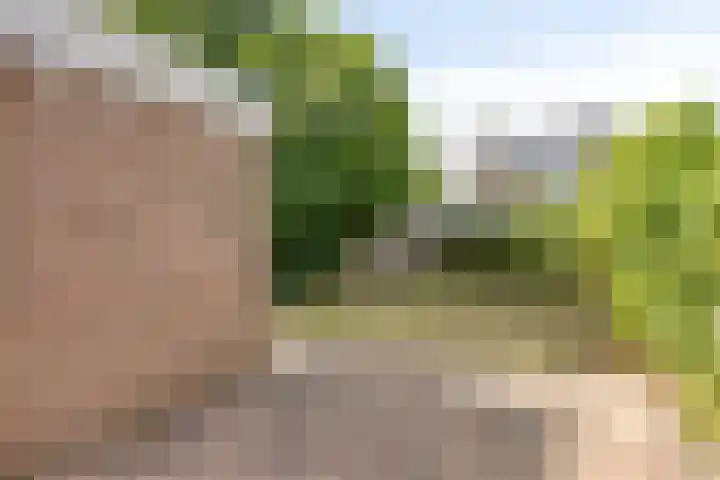 Tubantenstraat 40 Tilburg thumbnail 24