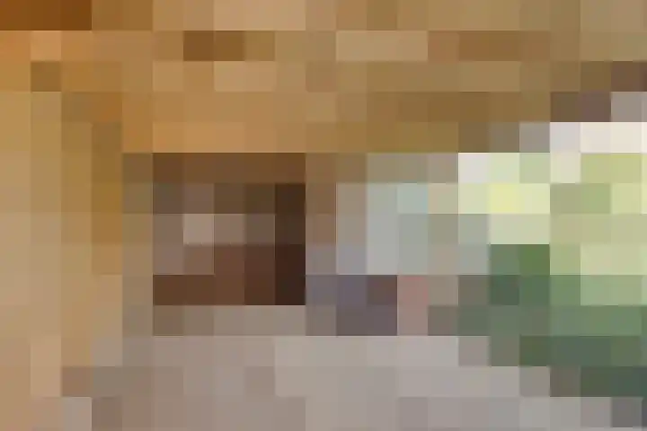 Tubantenstraat 40 Tilburg thumbnail 27