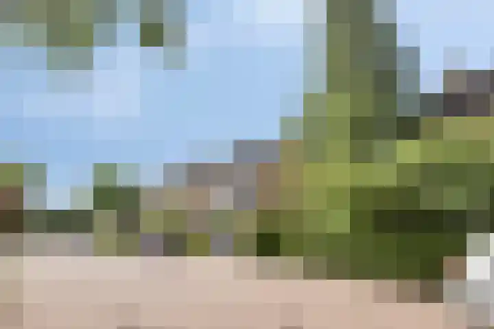 Tubantenstraat 40 Tilburg thumbnail 4