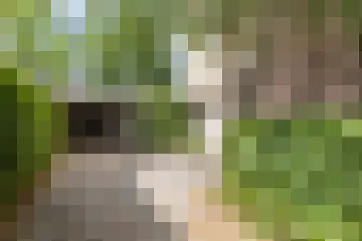 Tubantenstraat 40 Tilburg thumbnail 5