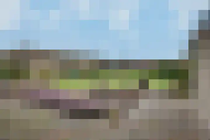 Tubantenweg 5 Oss thumbnail 40