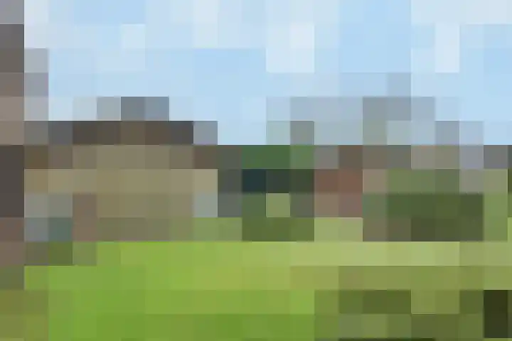 Tubantenweg 5 Oss thumbnail 42