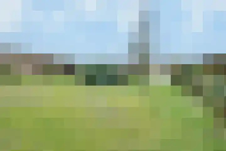Tubantenweg 5 Oss thumbnail 44