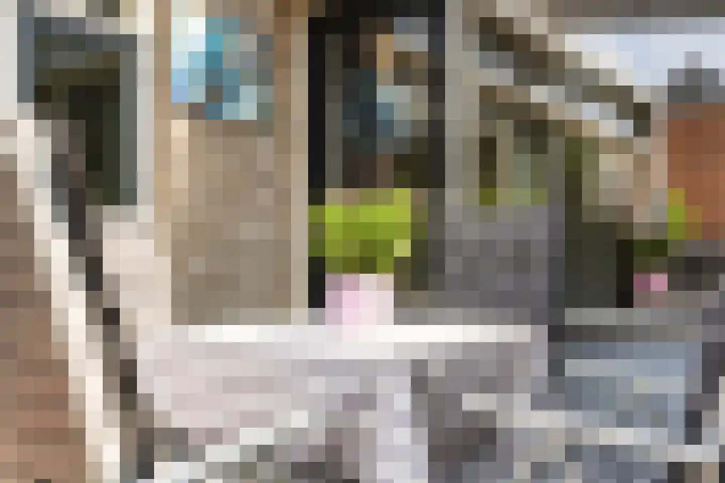 Tubantia 5 Veenendaal thumbnail 19