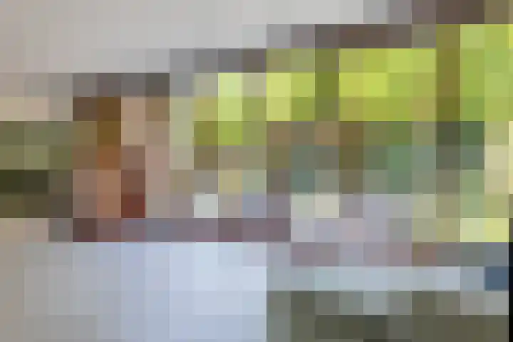 Tubantiasingel 79 Enschede thumbnail 13