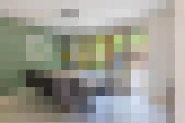 Tubantiasingel 79 Enschede thumbnail 15