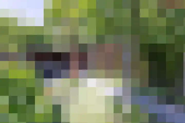 Tubantiasingel 79 Enschede thumbnail 31