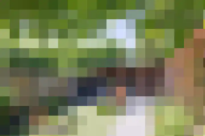 Tubantiasingel 79 Enschede thumbnail 32