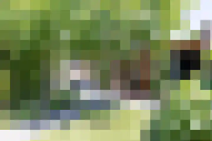 Tubantiasingel 79 Enschede thumbnail 33