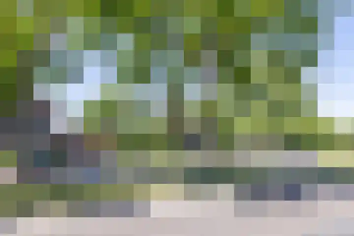 Tubantiasingel 79 Enschede thumbnail 4