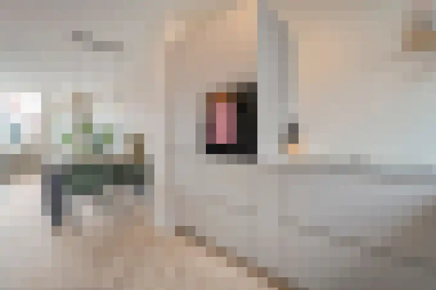 Tubantiastraat 68 Enschede thumbnail 15