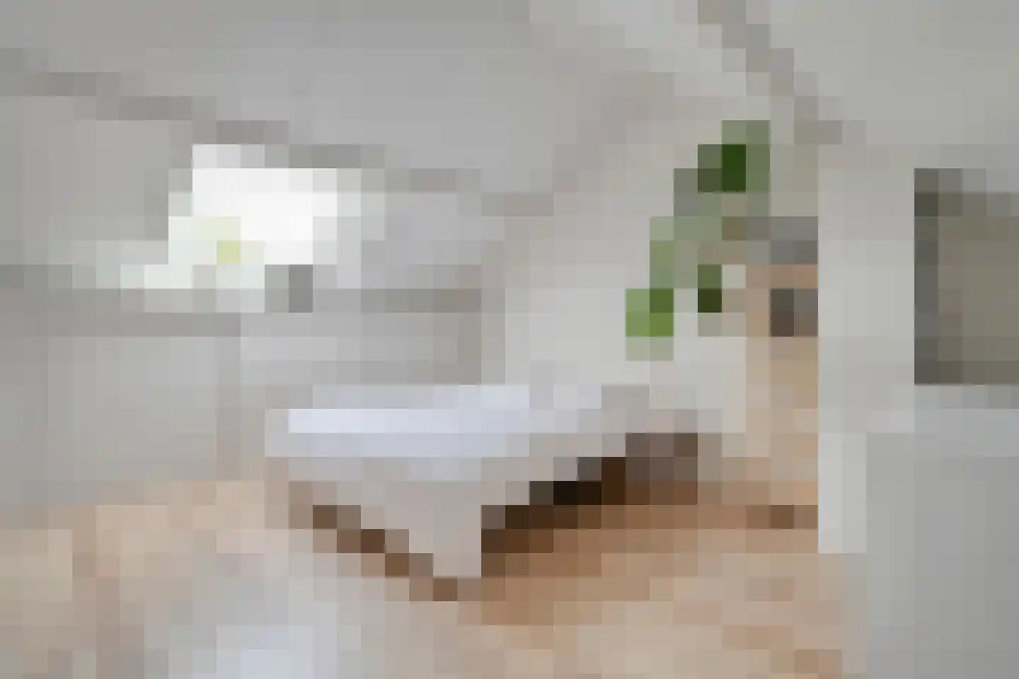 Tubantiastraat 68 Enschede thumbnail 25