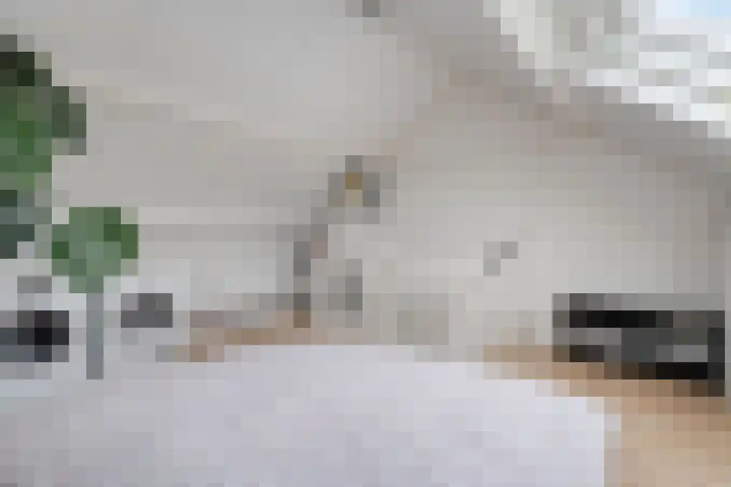 Tubantiastraat 68 Enschede thumbnail 26