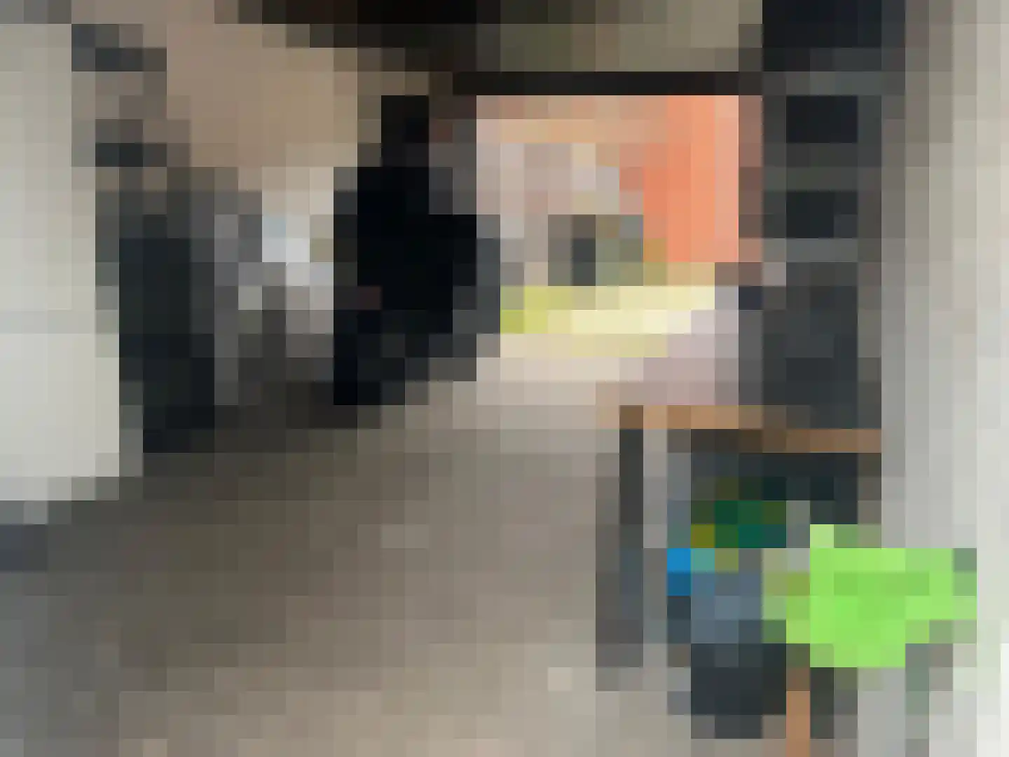 Tubantiastraat 68 Enschede thumbnail 34