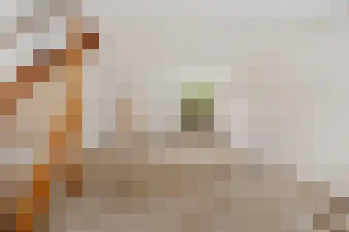 Tubantiastraat 74 Enschede thumbnail 10