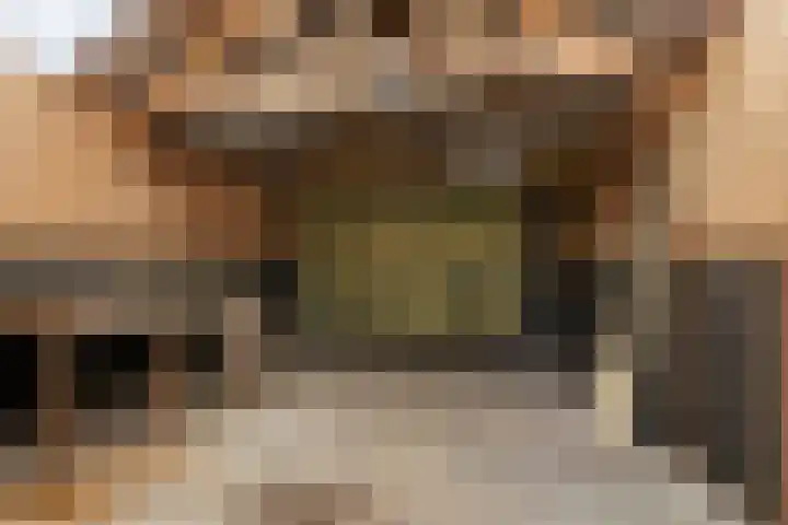 Tubantiastraat 74 Enschede thumbnail 31