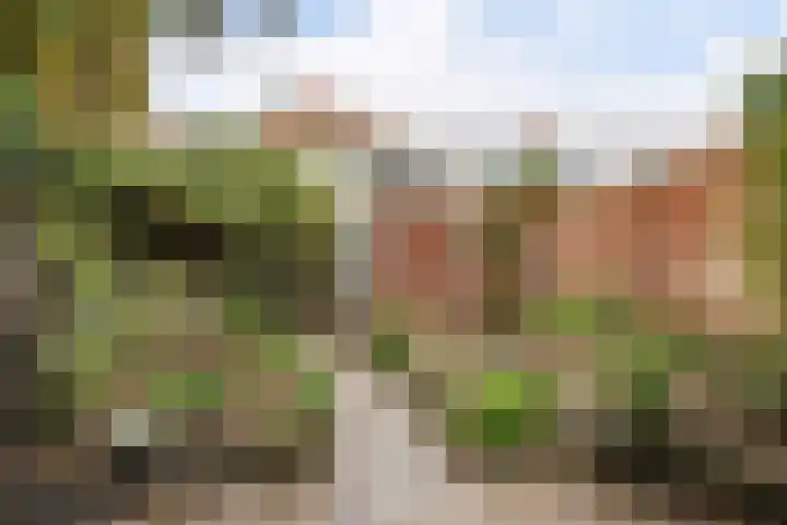 Tubantiastraat 74 Enschede thumbnail 40