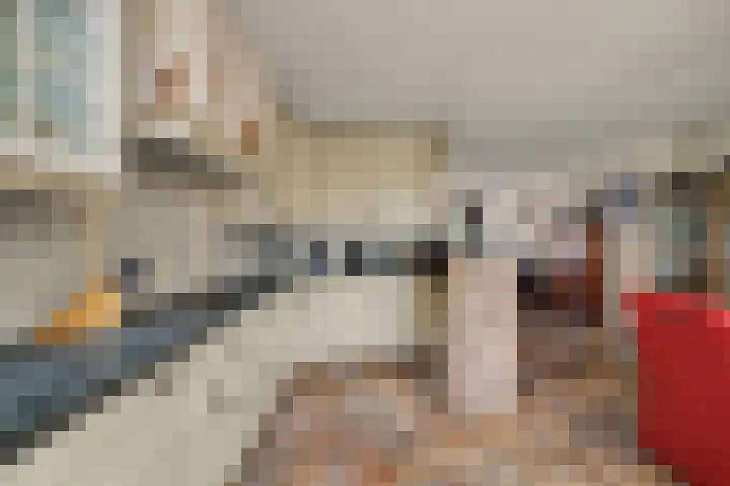 Tubastraat 31 Spijkenisse thumbnail 13