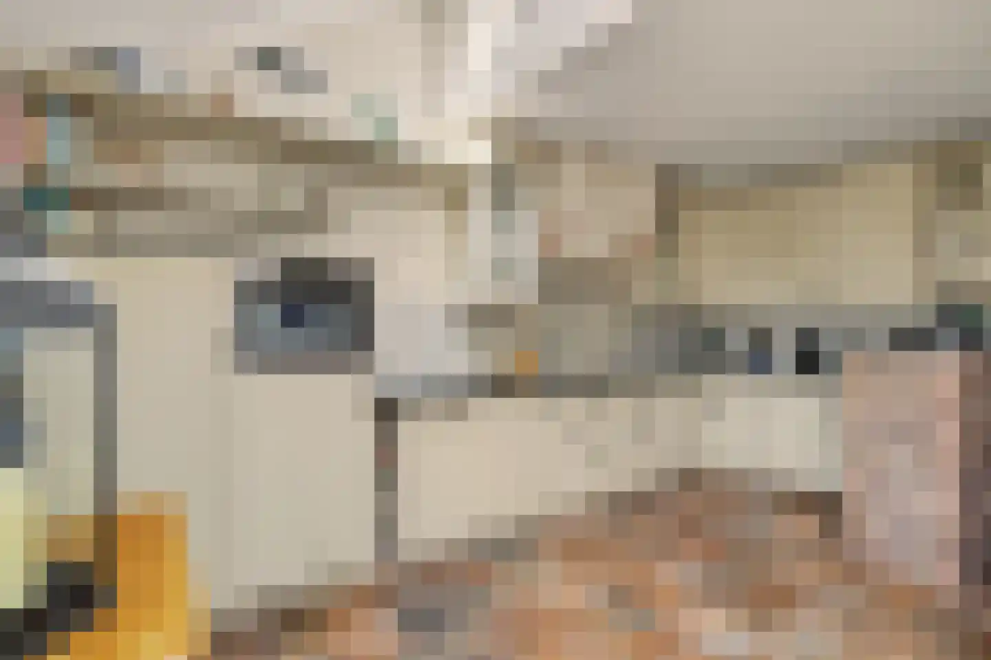 Tubastraat 31 Spijkenisse thumbnail 14