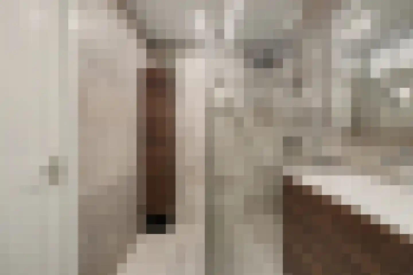 Tubastraat 31 Spijkenisse thumbnail 19