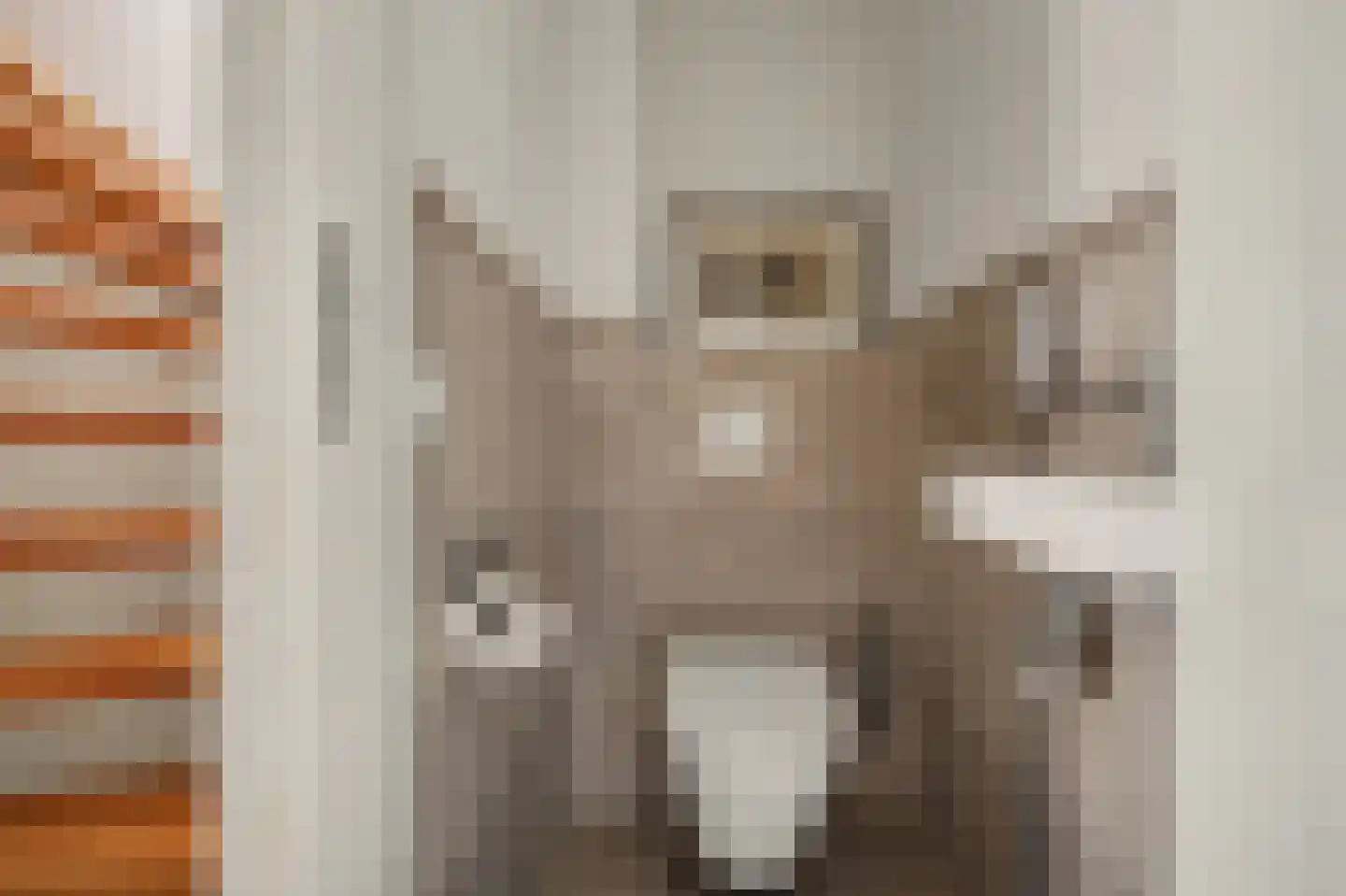 Tubastraat 31 Spijkenisse thumbnail 22