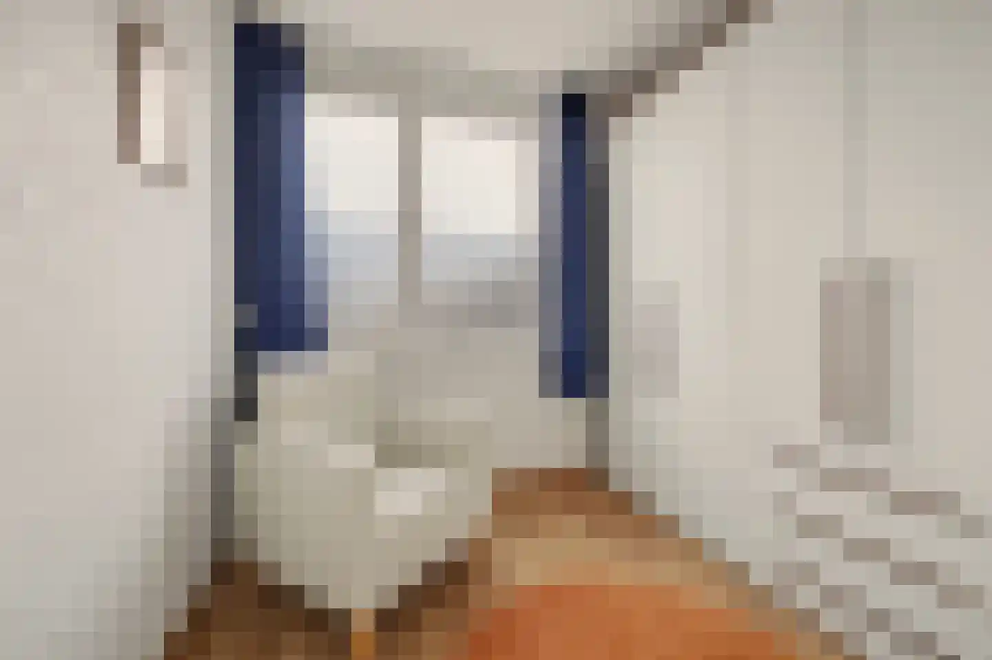Tubastraat 31 Spijkenisse thumbnail 27