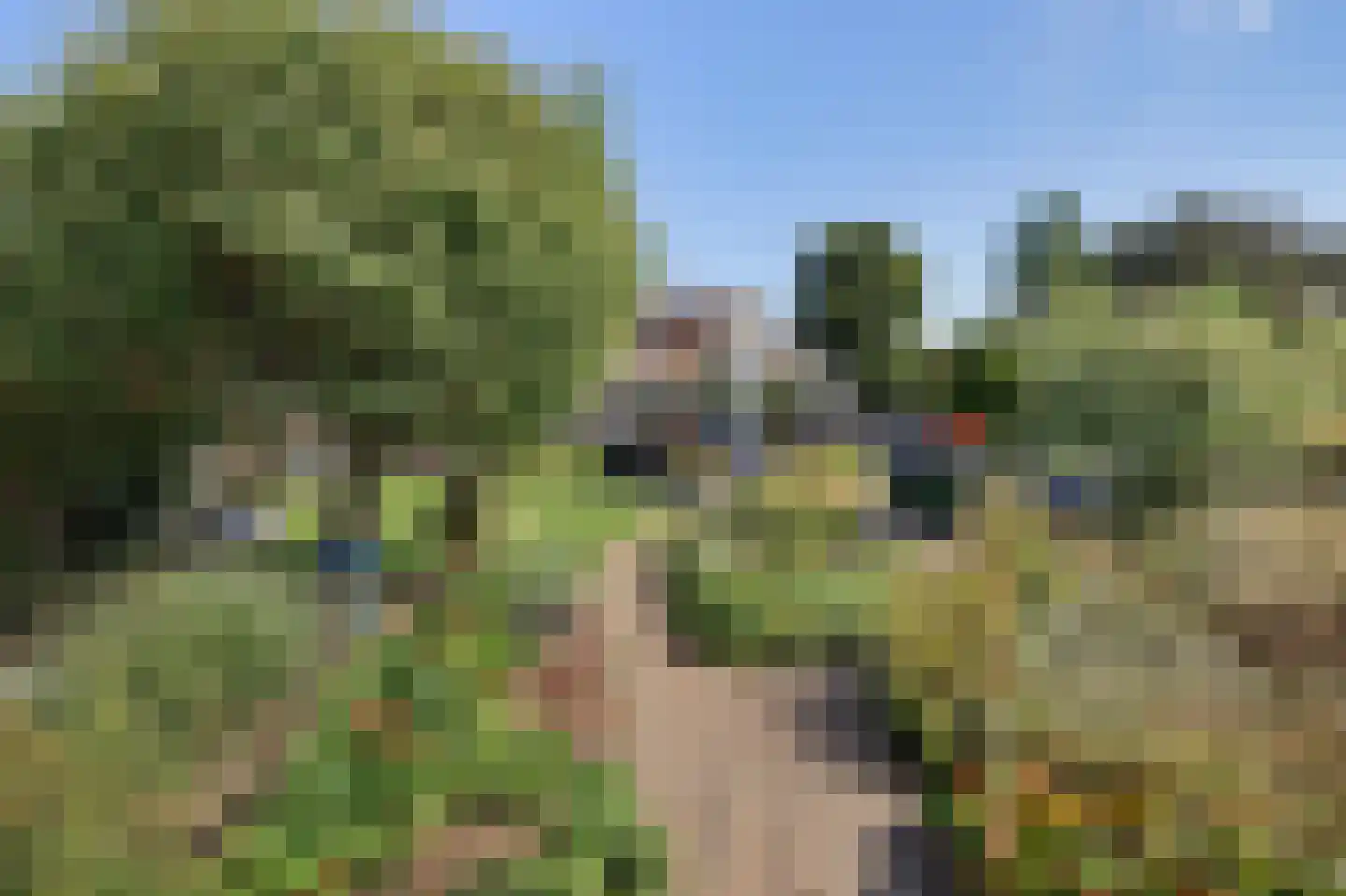 Tubastraat 31 Spijkenisse thumbnail 38