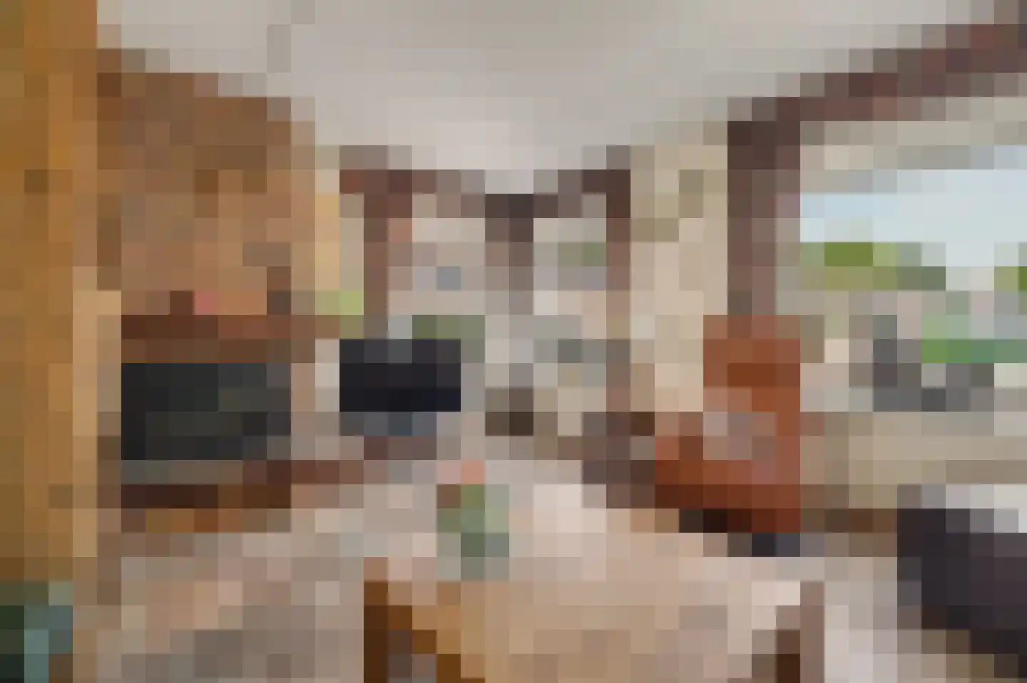 Tubastraat 31 Spijkenisse thumbnail 8