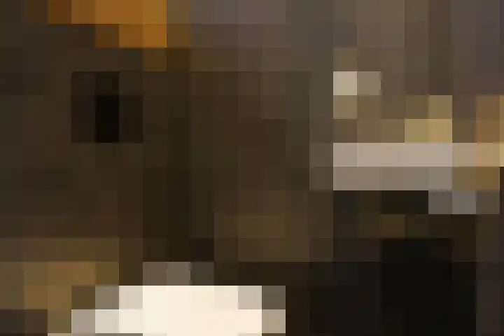 Tubastraat 41 Almere thumbnail 6