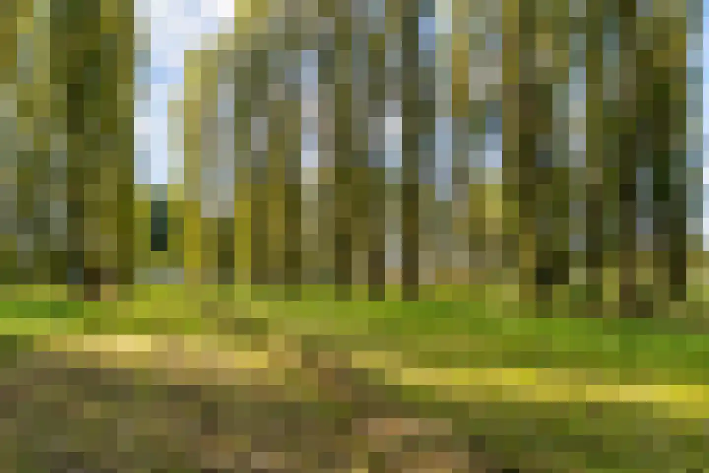 Tubastraat 5 Almere thumbnail 44