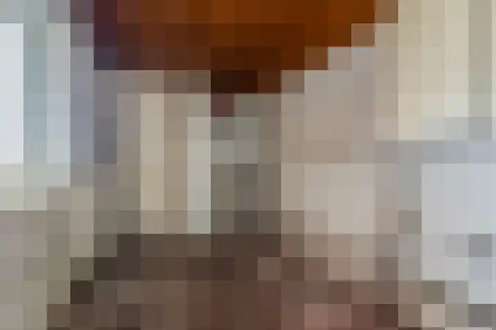 Tudderenderweg 12 Sittard thumbnail 10