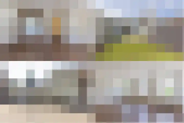 Tudderenderweg 127 Sittard thumbnail 4