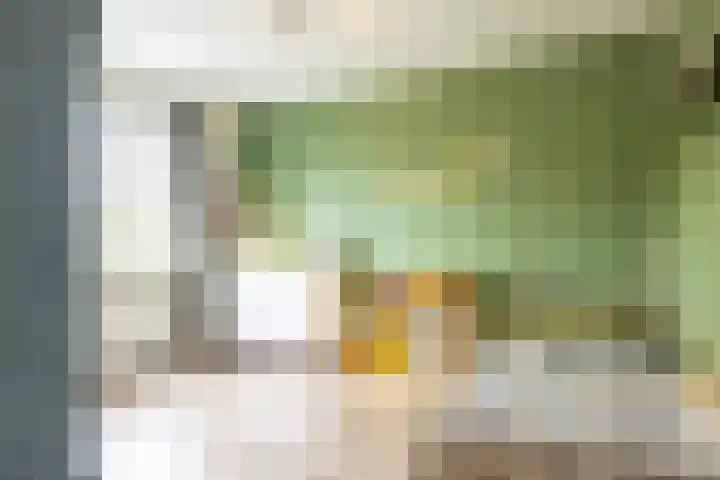 Tudderenderweg 131 Sittard thumbnail 24