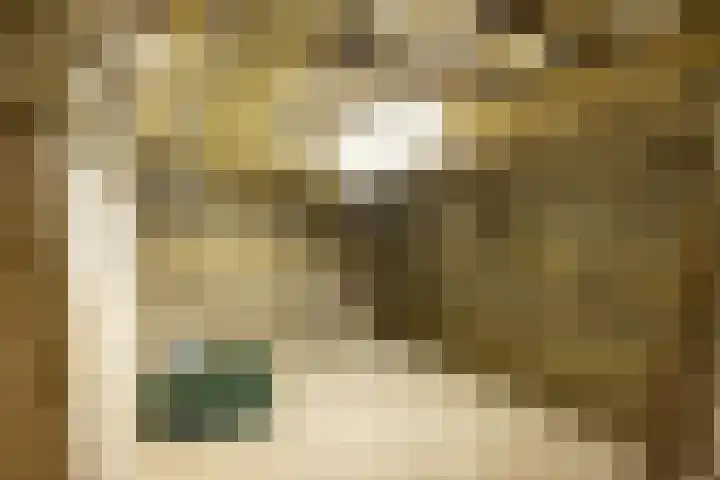 Tudderenderweg 131 Sittard thumbnail 34