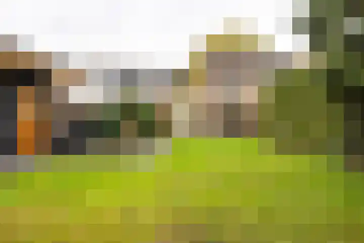 Tudderenderweg 131 Sittard thumbnail 35