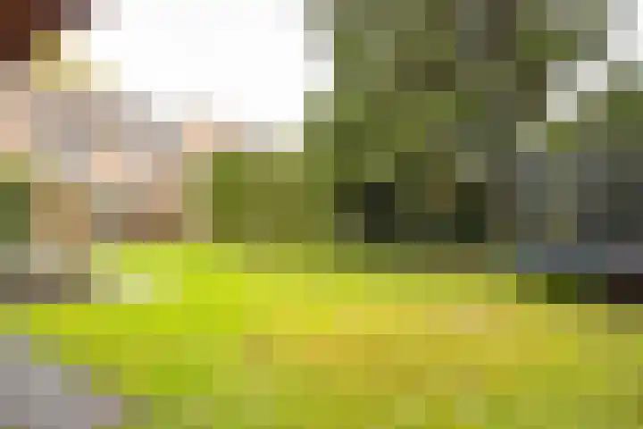 Tudderenderweg 131 Sittard thumbnail 36