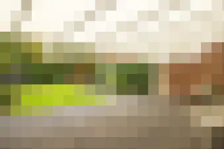 Tudderenderweg 131 Sittard thumbnail 38