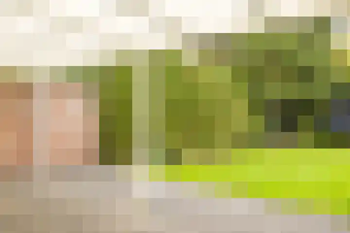 Tudderenderweg 131 Sittard thumbnail 39