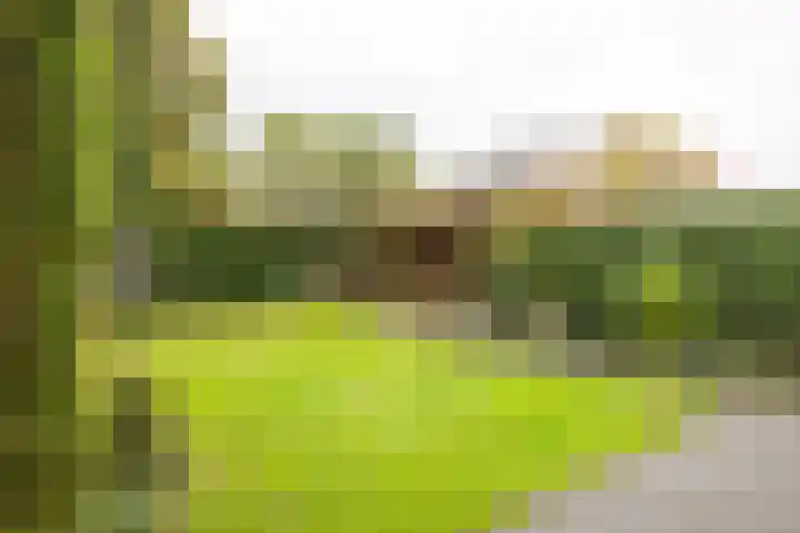 Tudderenderweg 131 Sittard thumbnail 40