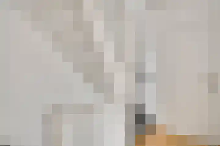 Tudderenderweg 65 Sittard thumbnail 8