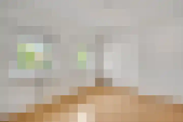 Tudderenderweg 65 Sittard thumbnail 9