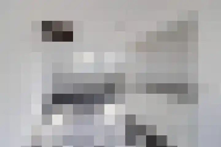 Tudderenderweg 66 Sittard thumbnail 16