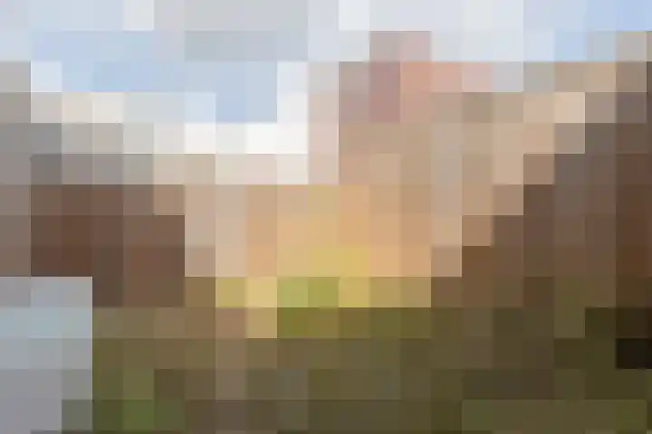 Tudderenderweg 66 Sittard thumbnail 7