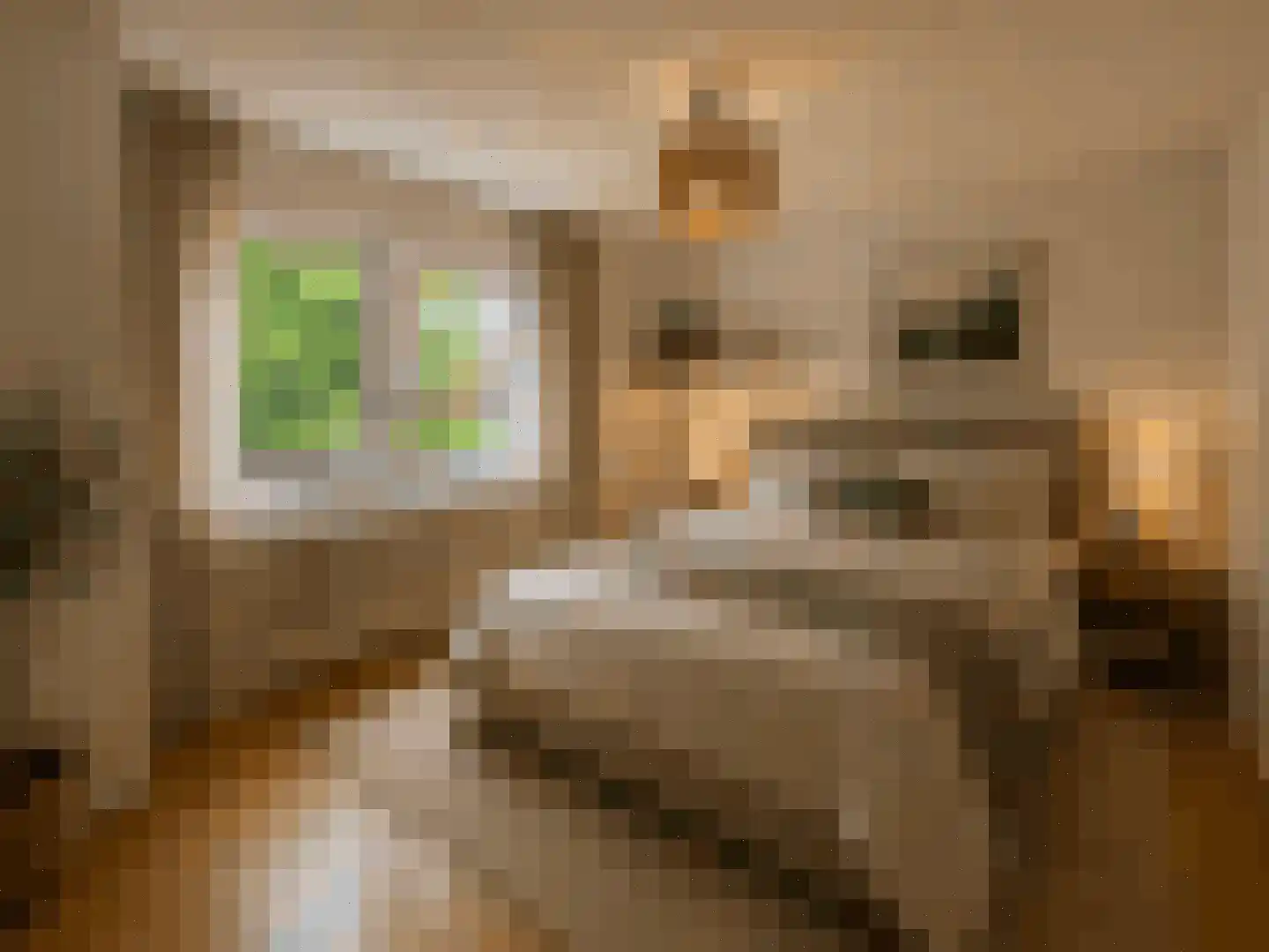 Tudderenderweg 8 Sittard thumbnail 30