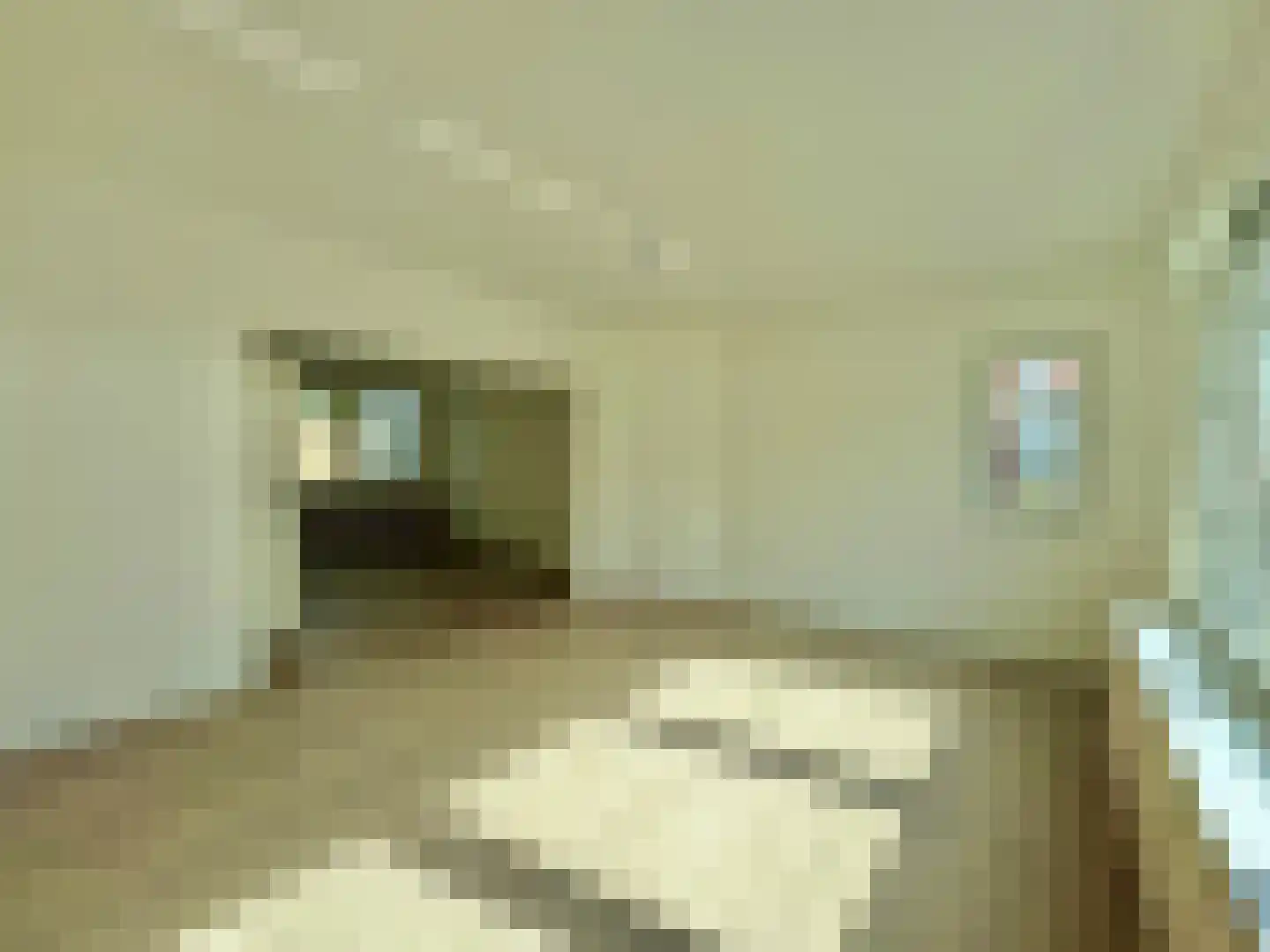 Tudderenderweg 8 Sittard thumbnail 8